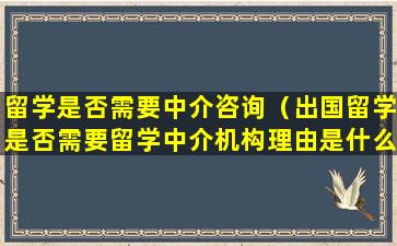 留学是否需要中介咨询（出国留学是否需要留学中介机构理由是什么）