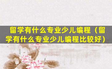 留学有什么专业少儿编程（留学有什么专业少儿编程比较好）