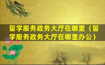 留学服务政务大厅在哪里（留学服务政务大厅在哪里办公）