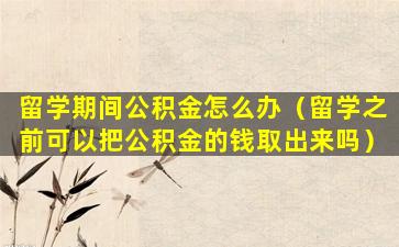 留学期间公积金怎么办（留学之前可以把公积金的钱取出来吗）