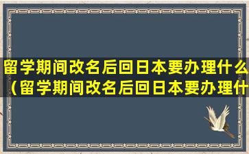 留学期间改名后回日本要办理什么（留学期间改名后回日本要办理什么手续）