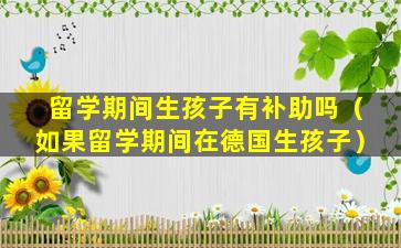 留学期间生孩子有补助吗（如果留学期间在德国生孩子）