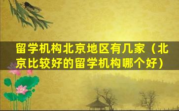 留学机构北京地区有几家（北京比较好的留学机构哪个好）
