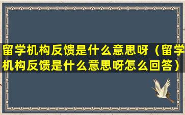 留学机构反馈是什么意思呀（留学机构反馈是什么意思呀怎么回答）