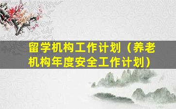 留学机构工作计划（养老机构年度安全工作计划）