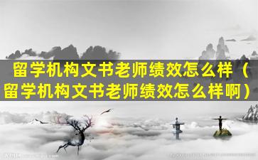 留学机构文书老师绩效怎么样（留学机构文书老师绩效怎么样啊）