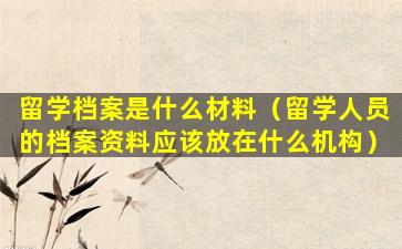 留学档案是什么材料（留学人员的档案资料应该放在什么机构）