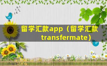 留学汇款app（留学汇款transfermate）