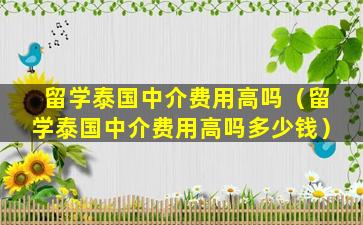 留学泰国中介费用高吗（留学泰国中介费用高吗多少钱）