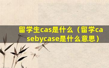 留学生cas是什么（留学casebycase是什么意思）