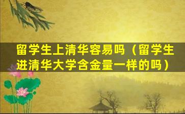 留学生上清华容易吗（留学生进清华大学含金量一样的吗）