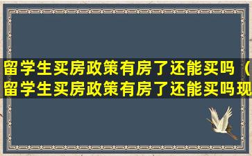 留学生买房政策有房了还能买吗（留学生买房政策有房了还能买吗现在）