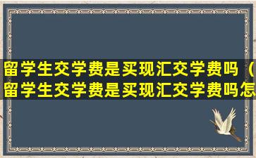 留学生交学费是买现汇交学费吗（留学生交学费是买现汇交学费吗怎么交）