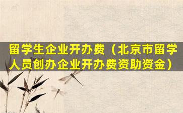 留学生企业开办费（北京市留学人员创办企业开办费资助资金）