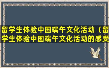 留学生体验中国端午文化活动（留学生体验中国端午文化活动的感受）