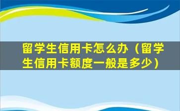 留学生信用卡怎么办（留学生信用卡额度一般是多少）
