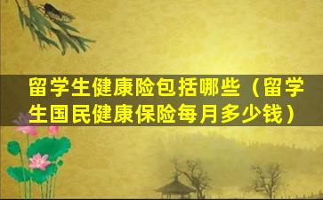 留学生健康险包括哪些（留学生国民健康保险每月多少钱）