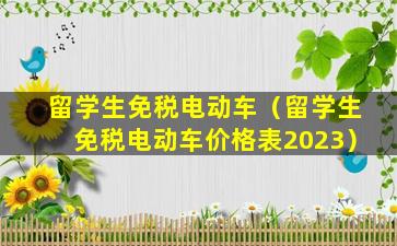 留学生免税电动车（留学生免税电动车价格表2023）