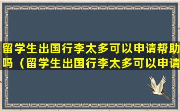 留学生出国行李太多可以申请帮助吗（留学生出国行李太多可以申请帮助吗知乎）