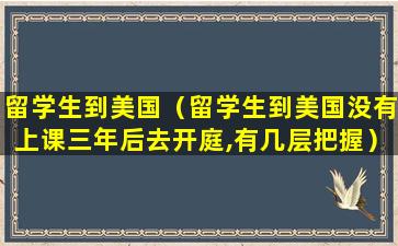 留学生到美国（留学生到美国没有上课三年后去开庭,有几层把握）