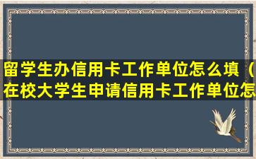 留学生办信用卡工作单位怎么填（在校大学生申请信用卡工作单位怎么填）