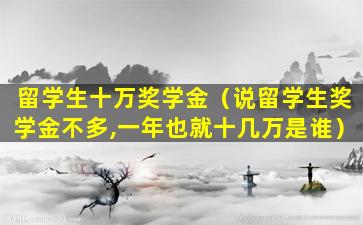 留学生十万奖学金（说留学生奖学金不多,一年也就十几万是谁）