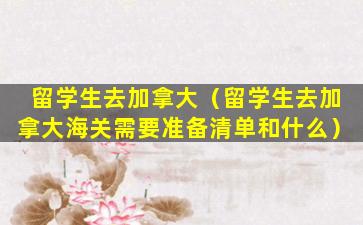 留学生去加拿大（留学生去加拿大海关需要准备清单和什么）
