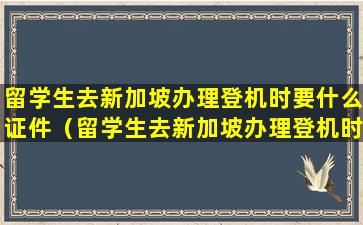 留学生去新加坡办理登机时要什么证件（留学生去新加坡办理登机时要什么证件和材料）