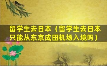 留学生去日本（留学生去日本只能从东京成田机场入境吗）