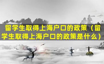 留学生取得上海户口的政策（留学生取得上海户口的政策是什么）
