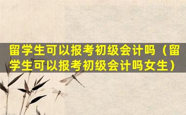 留学生可以报考初级会计吗（留学生可以报考初级会计吗女生）