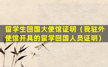 留学生回国大使馆证明（我驻外使馆开具的留学回国人员证明）