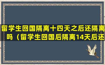 留学生回国隔离十四天之后还隔离吗（留学生回国后隔离14天后还要回家隔离吗）