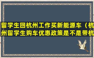 留学生回杭州工作买新能源车（杭州留学生购车优惠政策是不是带杭牌照）
