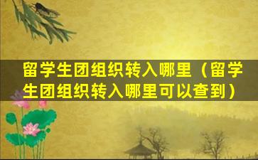留学生团组织转入哪里（留学生团组织转入哪里可以查到）