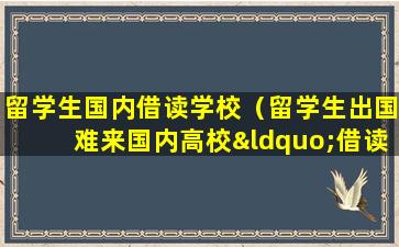 留学生国内借读学校（留学生出国难来国内高校“借读”吧）