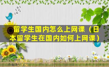留学生国内怎么上网课（日本留学生在国内如何上网课）