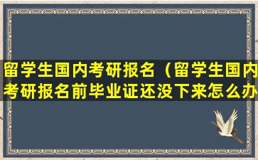 留学生国内考研报名（留学生国内考研报名前毕业证还没下来怎么办）