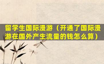 留学生国际漫游（开通了国际漫游在国外产生流量的钱怎么算）