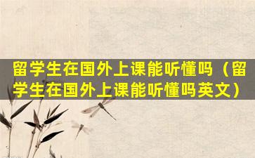 留学生在国外上课能听懂吗（留学生在国外上课能听懂吗英文）