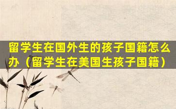 留学生在国外生的孩子国籍怎么办（留学生在美国生孩子国籍）