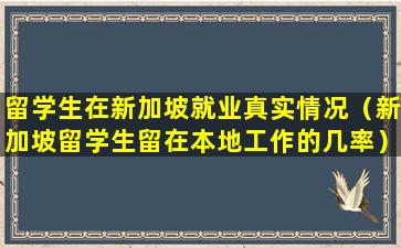 留学生在新加坡就业真实情况（新加坡留学生留在本地工作的几率）