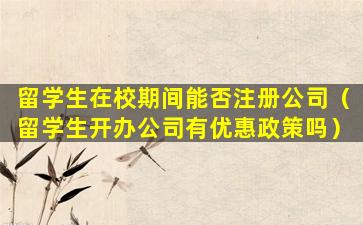 留学生在校期间能否注册公司（留学生开办公司有优惠政策吗）