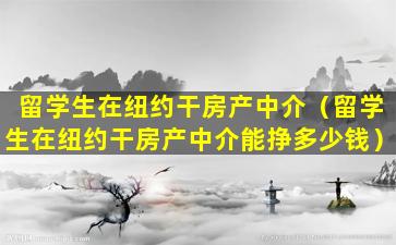 留学生在纽约干房产中介（留学生在纽约干房产中介能挣多少钱）