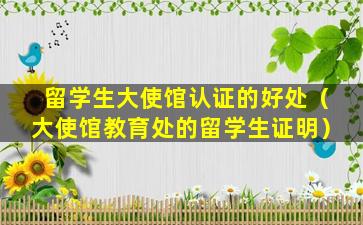 留学生大使馆认证的好处（大使馆教育处的留学生证明）
