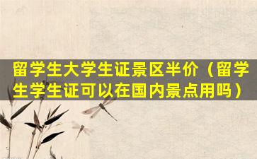 留学生大学生证景区半价（留学生学生证可以在国内景点用吗）