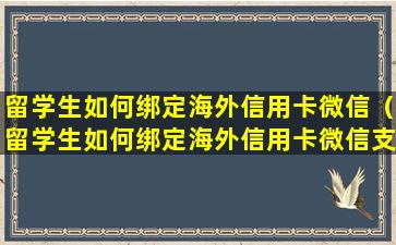 留学生如何绑定海外信用卡微信（留学生如何绑定海外信用卡微信支付功能）