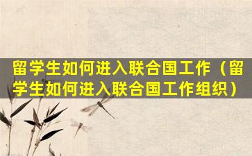 留学生如何进入联合国工作（留学生如何进入联合国工作组织）