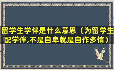 留学生学伴是什么意思（为留学生配学伴,不是自卑就是自作多情）
