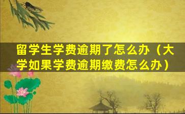 留学生学费逾期了怎么办（大学如果学费逾期缴费怎么办）